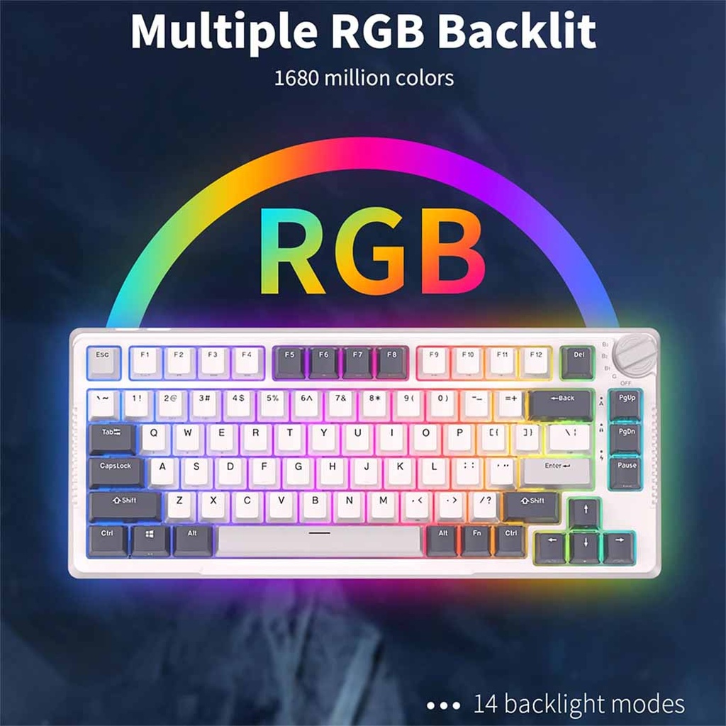 RK H81 HotSwap Mechanical Keyboard