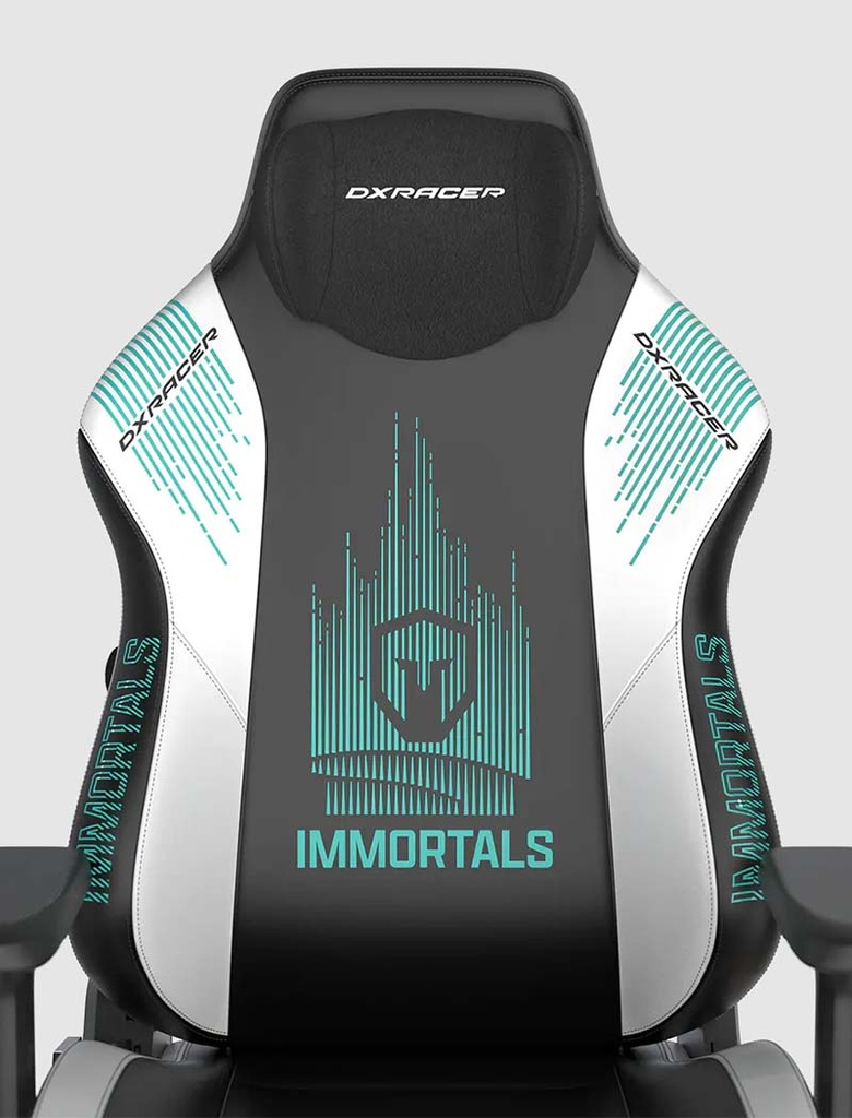 DXRacer Team Immortals-Craft Series Gaming Chair