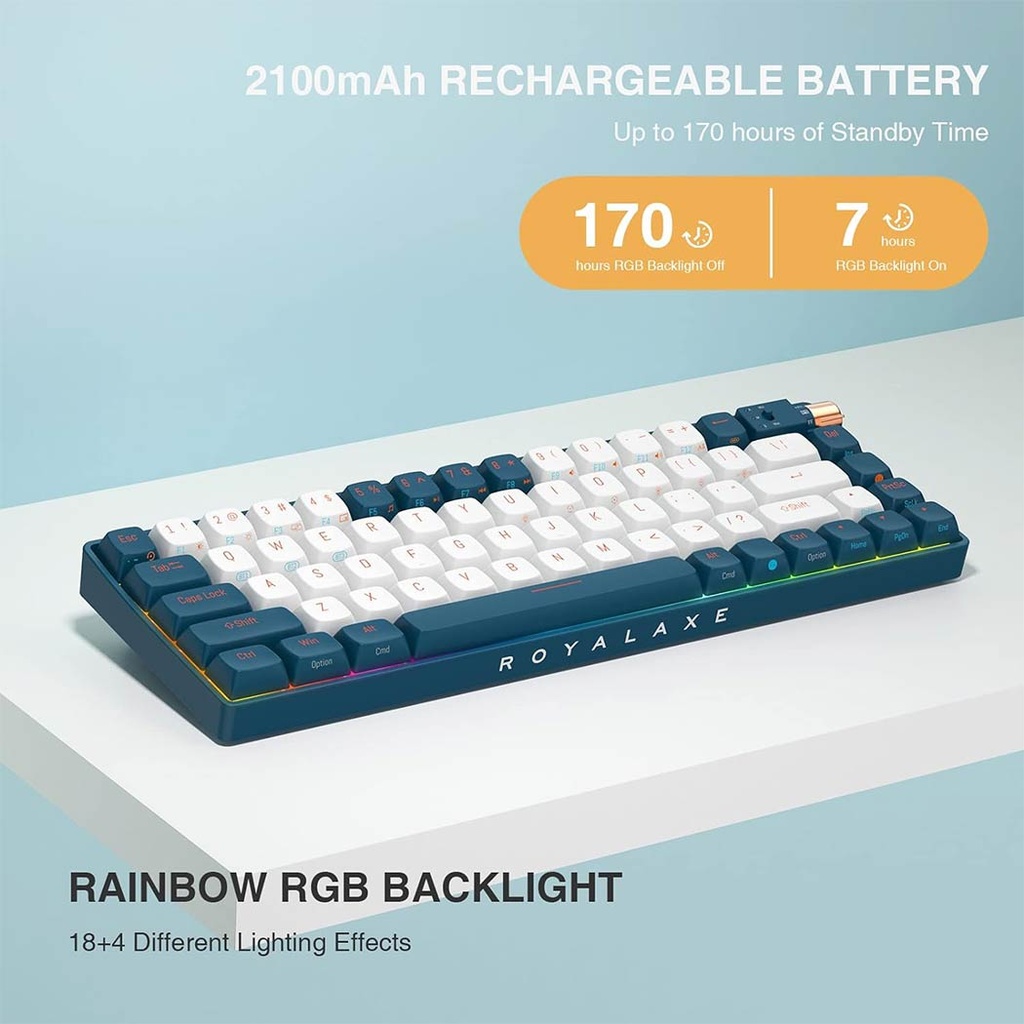 ROYAL AXE R67 KEYBOARD (TTC Gold Pink Switch V2)