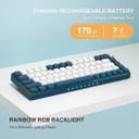 ROYAL AXE R67 KEYBOARD (TTC Gold Pink Switch V2)