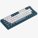 ROYAL AXE R67 KEYBOARD (TTC Gold Pink Switch V2)