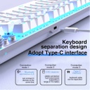 Aula F3001 HotSwap Mechanical Keyboard